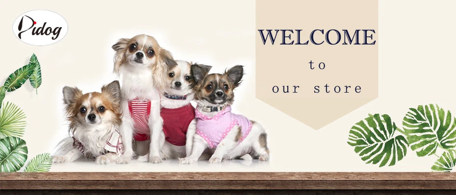 Customized PU Leather Dog Collar – Soft Padded Adjustable Collar with Free Nameplate Engraving for Small, Medium & Large Dogs