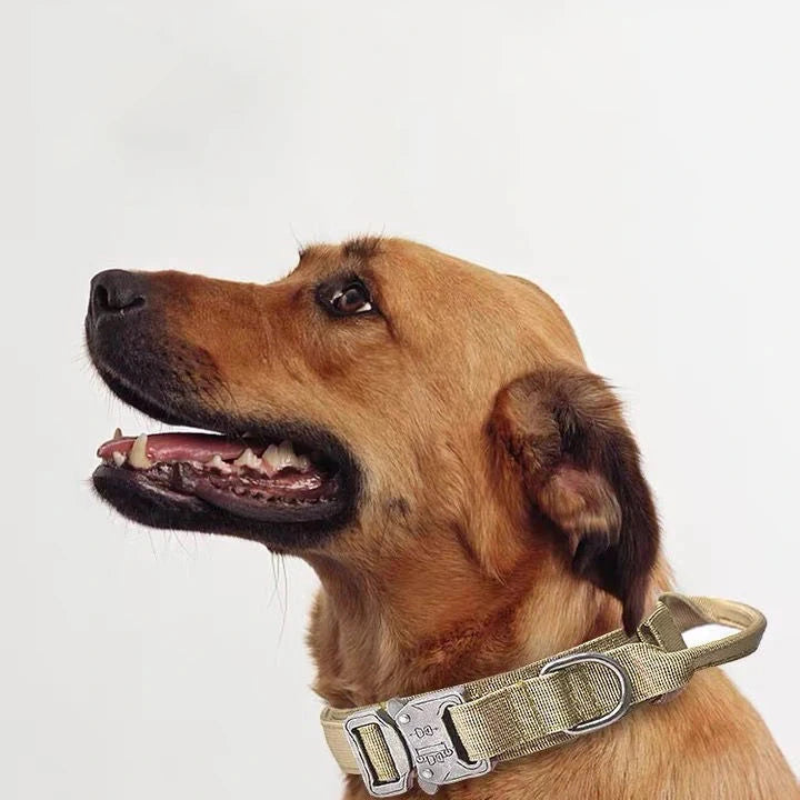 Durable Nylon Dog Collar & Leash Set – Reflective Tactical Training Collar with Padded Handle for Large Dogs