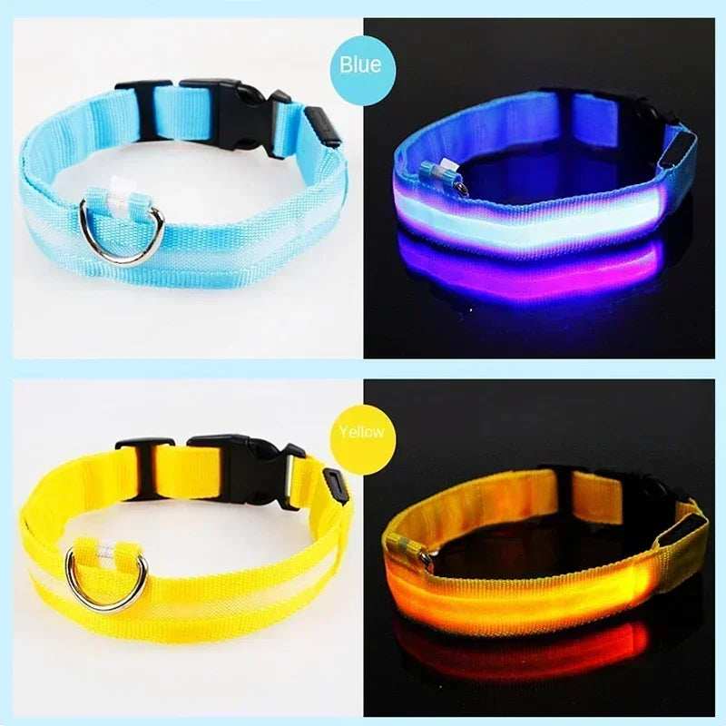 LED Glowing Dog Collar – Rechargeable Adjustable Luminous Night Safety Collar for Small Dogs