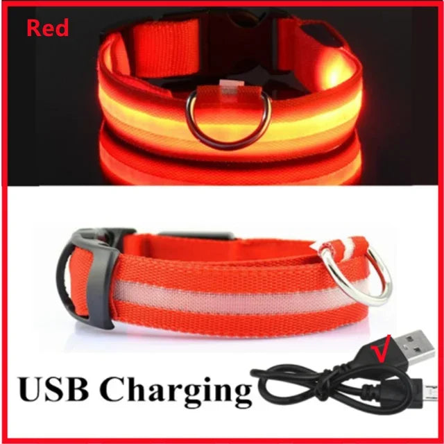 LED Glowing Dog Collar – Rechargeable Adjustable Luminous Night Safety Collar for Small Dogs