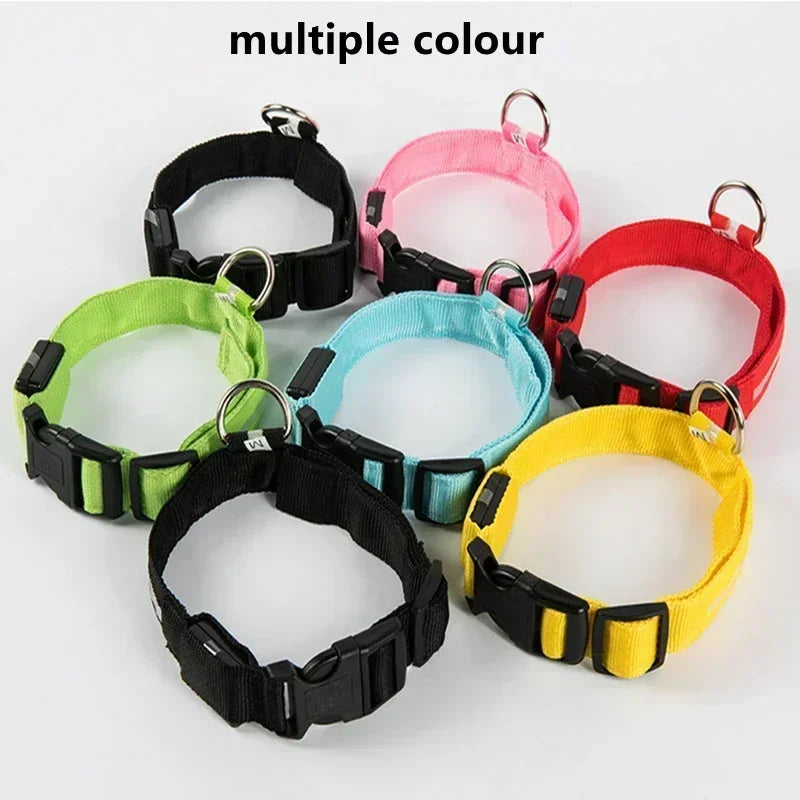 LED Glowing Dog Collar – Rechargeable Adjustable Luminous Night Safety Collar for Small Dogs