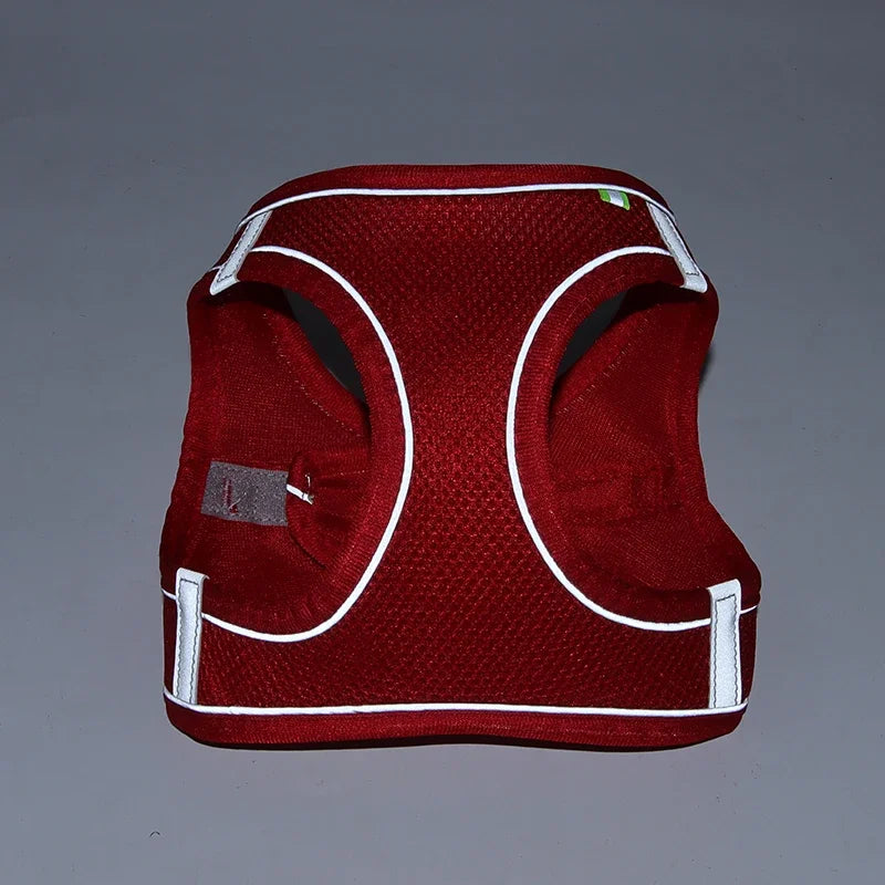 Adjustable Puppy & Cat Harness Set with Leash – Small Dog Vest for Chihuahua, French Bulldog, and Small Breeds