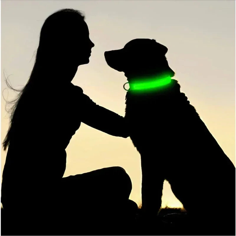LED Glowing Dog Collar – Rechargeable Adjustable Luminous Night Safety Collar for Small Dogs