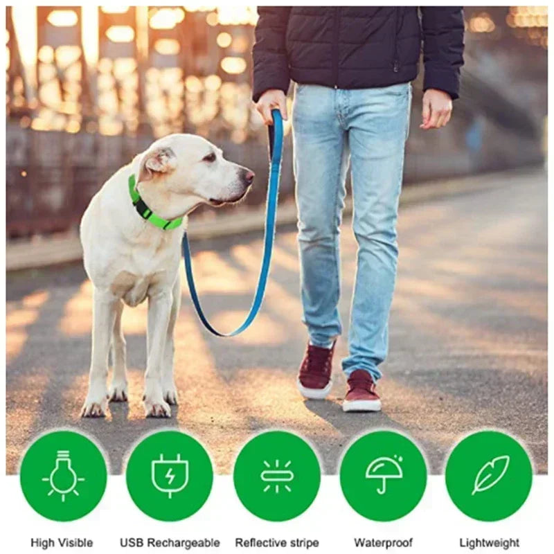 LED Glowing Dog Collar – Rechargeable Adjustable Luminous Night Safety Collar for Small Dogs
