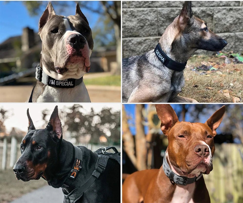 Tactical Dog Collar – Durable Nylon Military Collar for Medium & Large Dogs, Training and Outdoor Use