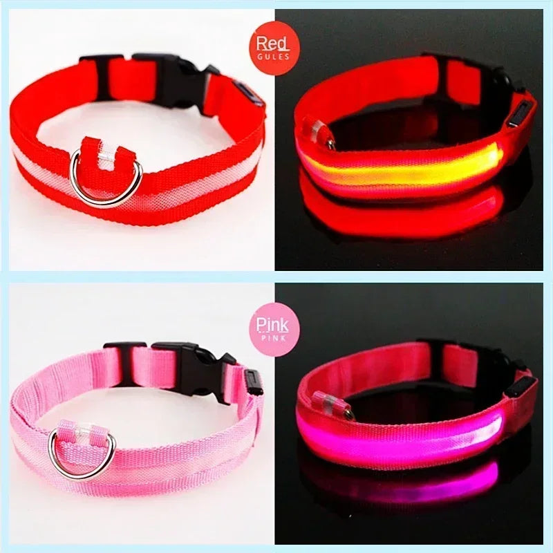 LED Glowing Dog Collar – Rechargeable Adjustable Luminous Night Safety Collar for Small Dogs