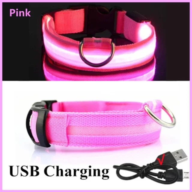 LED Glowing Dog Collar – Rechargeable Adjustable Luminous Night Safety Collar for Small Dogs
