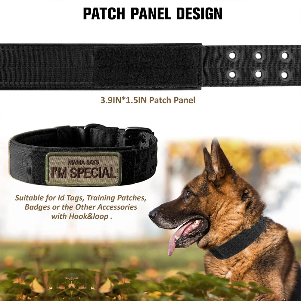 Tactical Dog Collar – Durable Nylon Military Collar for Medium & Large Dogs, Training and Outdoor Use
