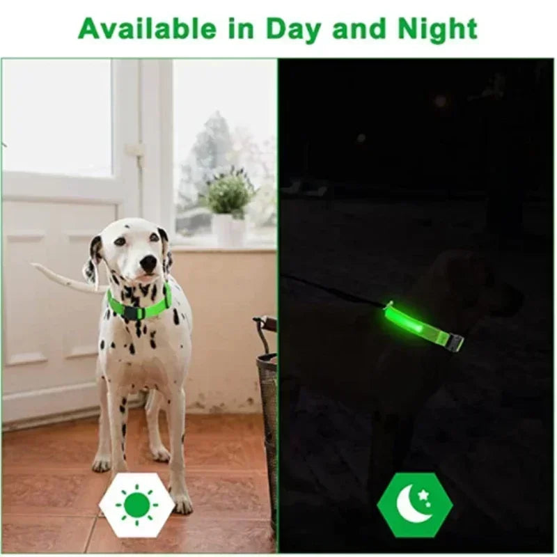 LED Glowing Dog Collar – Rechargeable Adjustable Luminous Night Safety Collar for Small Dogs