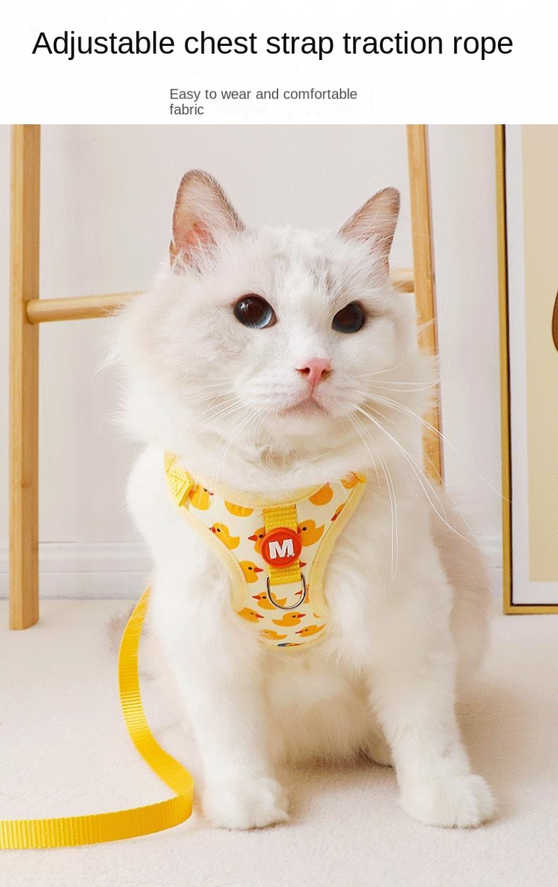 Cartoon Duck Pet Harness and Leash Set – Adjustable Puppy & Cat Vest for Small Dogs
