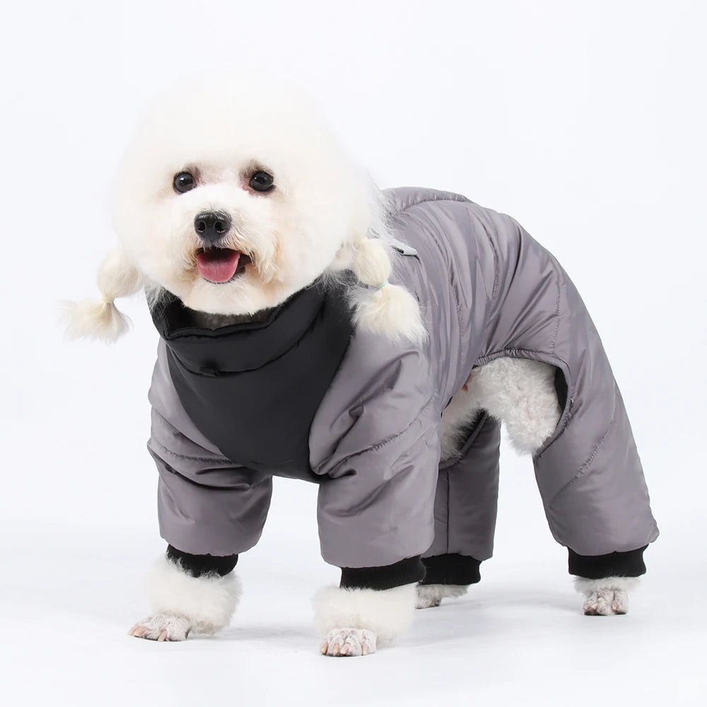 CDDMPET Winter Warm Waterproof Dog Jacket for Small and Medium Dogs
