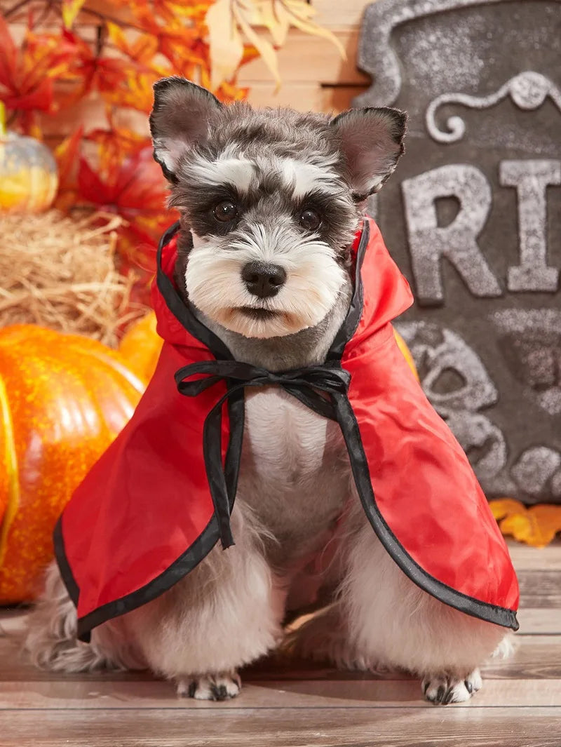 Funny Devil Horn Halloween Costume for Dogs – Red/Black/Orange Cloak with Bow Hat