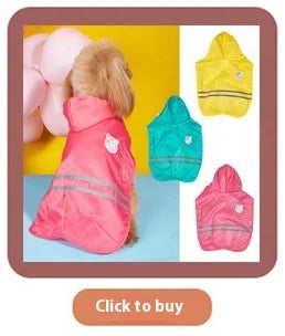 Funny Devil Horn Halloween Costume for Dogs – Red/Black/Orange Cloak with Bow Hat