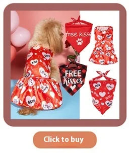 Funny Devil Horn Halloween Costume for Dogs – Red/Black/Orange Cloak with Bow Hat