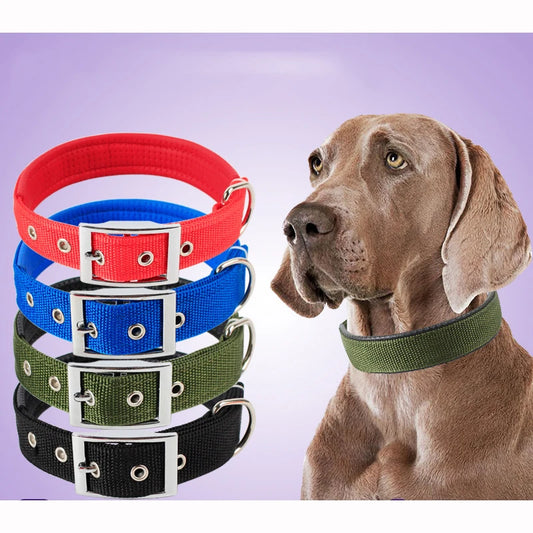 Solid Nylon Dog Collar for Small, Medium & Large Dogs – Durable Adjustable Collar for Teddy, Corgi, Pitbull, Bulldog, Beagle