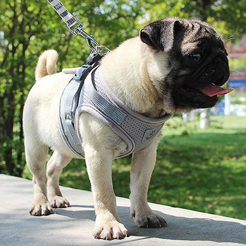 Adjustable Mesh Dog Vest Harness with Leash – Chest Strap Pet Harness XS/S/M/L/XL