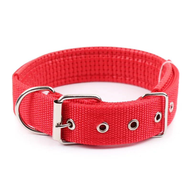 Solid Nylon Dog Collar for Small, Medium & Large Dogs – Durable Adjustable Collar for Teddy, Corgi, Pitbull, Bulldog, Beagle
