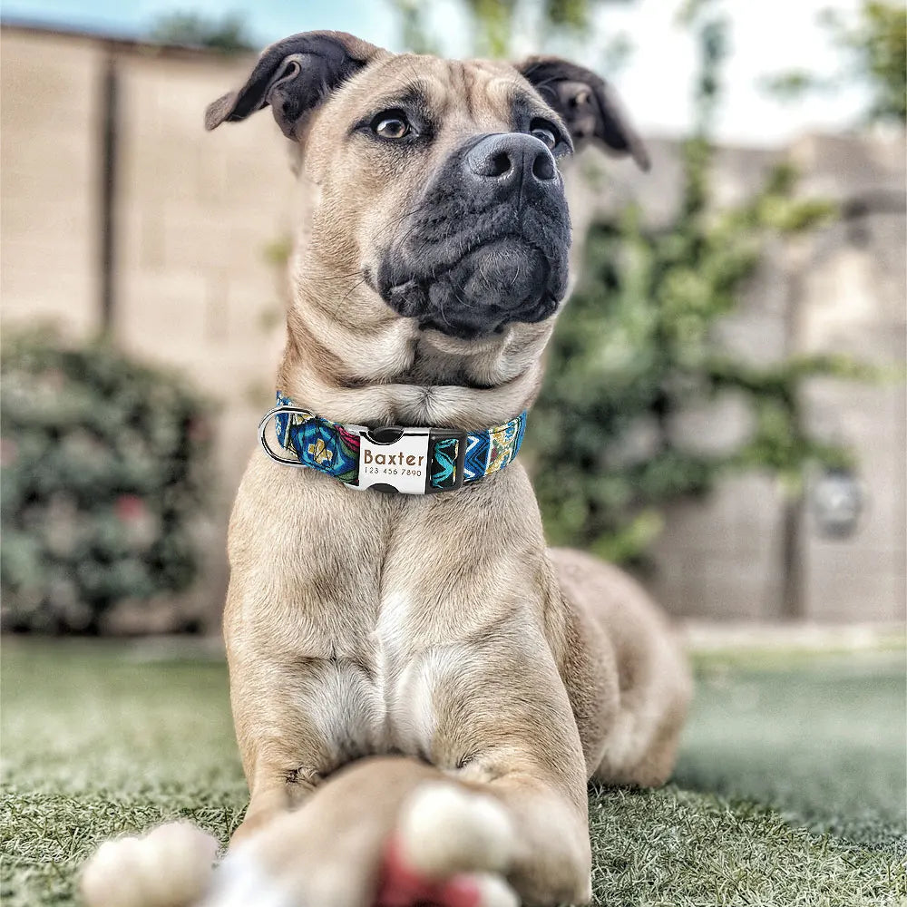Personalized Nylon Dog Collar – Custom Engraved ID Tag for Small, Medium & Large Dogs, Durable Adjustable Anti-Lost Collar
