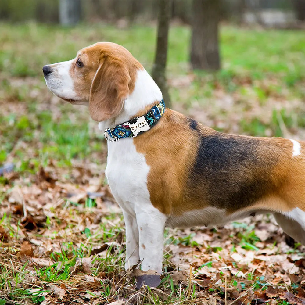 Personalized Nylon Dog Collar – Custom Engraved ID Tag for Small, Medium & Large Dogs, Durable Adjustable Anti-Lost Collar