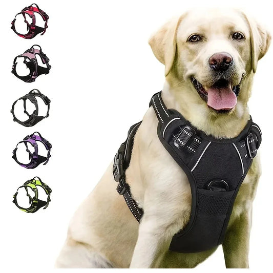 Dog Collars, Harnesses & Leash Set – Leather Puppy & Pet Accessories for Small and Medium Dogs
