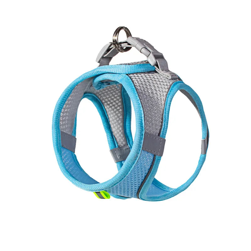 Adjustable Puppy & Cat Harness Set with Leash – Small Dog Vest for Chihuahua, French Bulldog, and Small Breeds