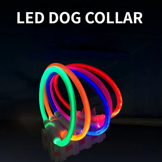 LED Pet Luminous Collar – USB Rechargeable Light-Up Collar for Dogs & Cats, Anti-Lost Night Safety Accessory