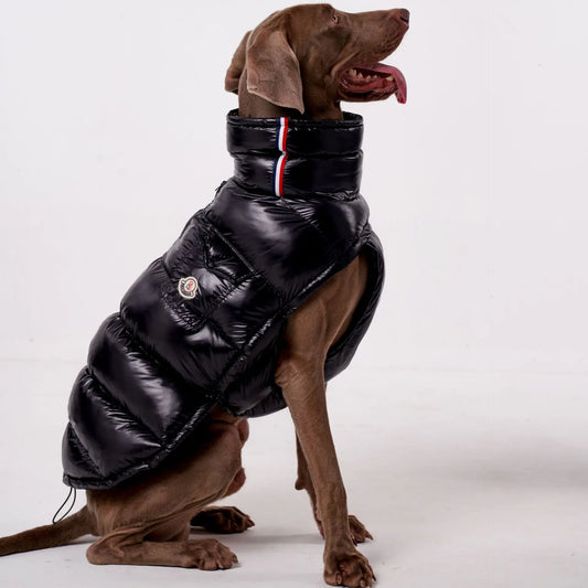 Large Dog Winter Down Coat High Collar Warm Windproof Jacket Vest