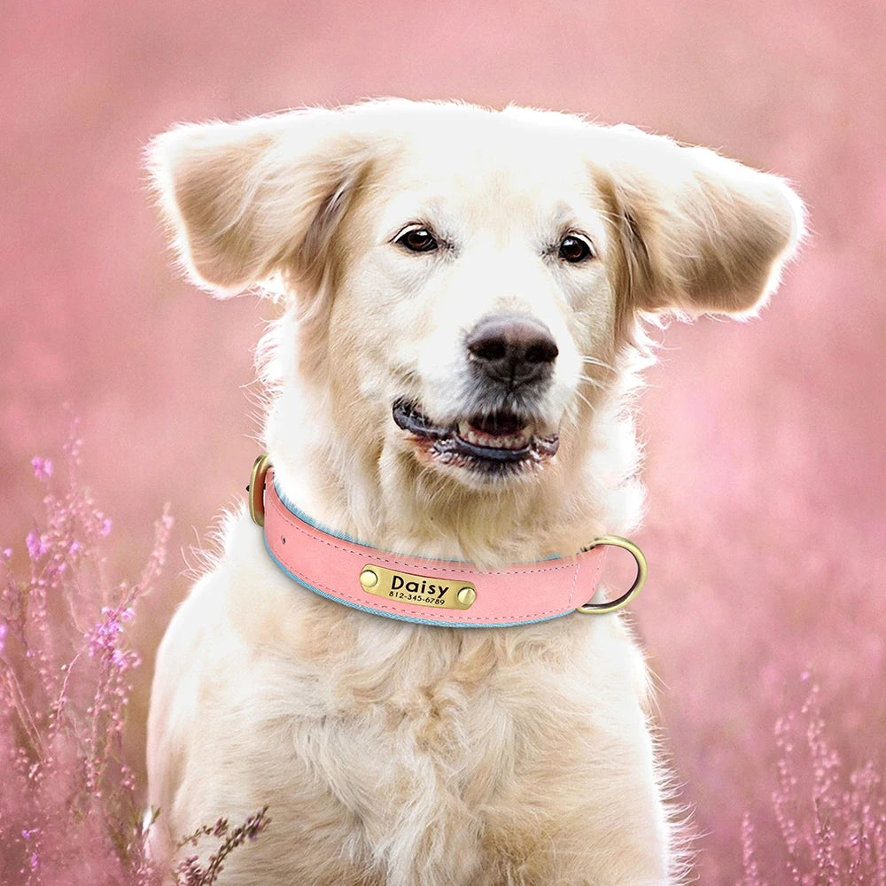 Customized PU Leather Dog Collar – Soft Padded Adjustable Collar with Free Nameplate Engraving for Small, Medium & Large Dogs