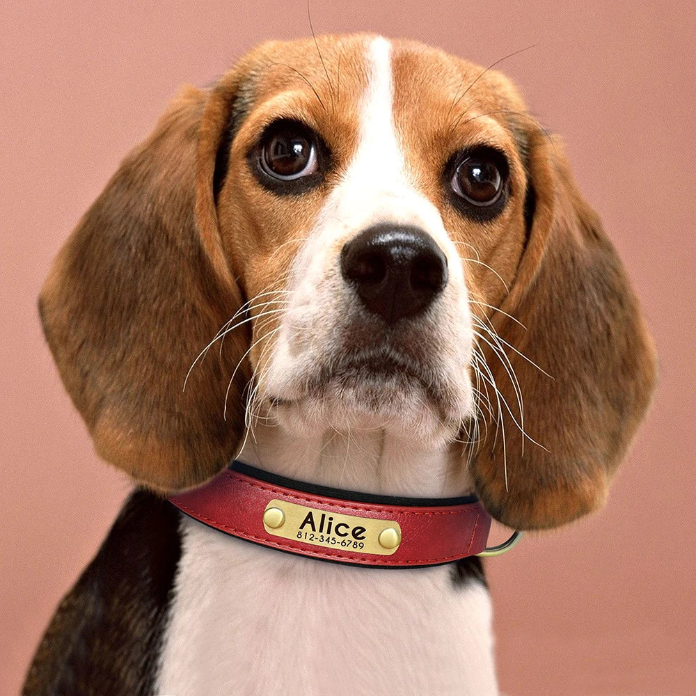 Customized PU Leather Dog Collar – Soft Padded Adjustable Collar with Free Nameplate Engraving for Small, Medium & Large Dogs
