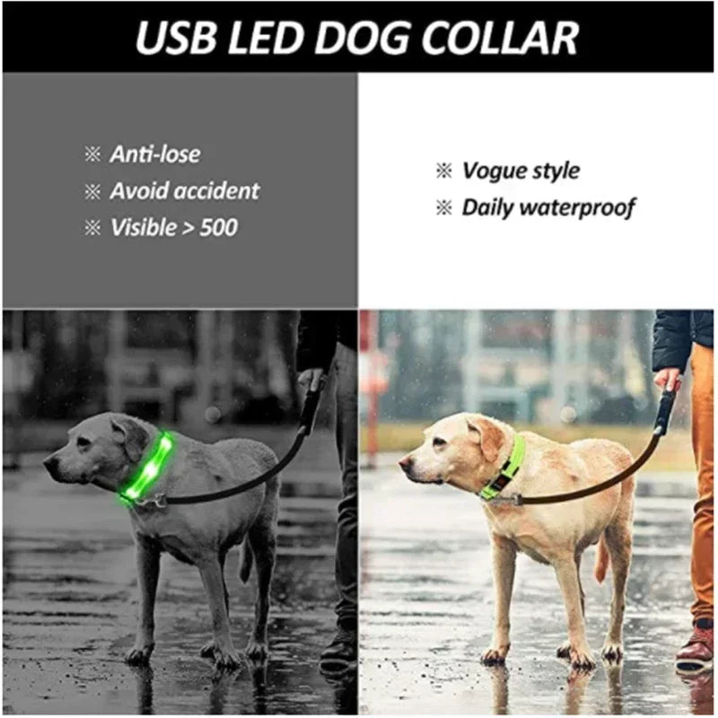 LED Glowing Dog Collar – Rechargeable Adjustable Luminous Night Safety Collar for Small Dogs
