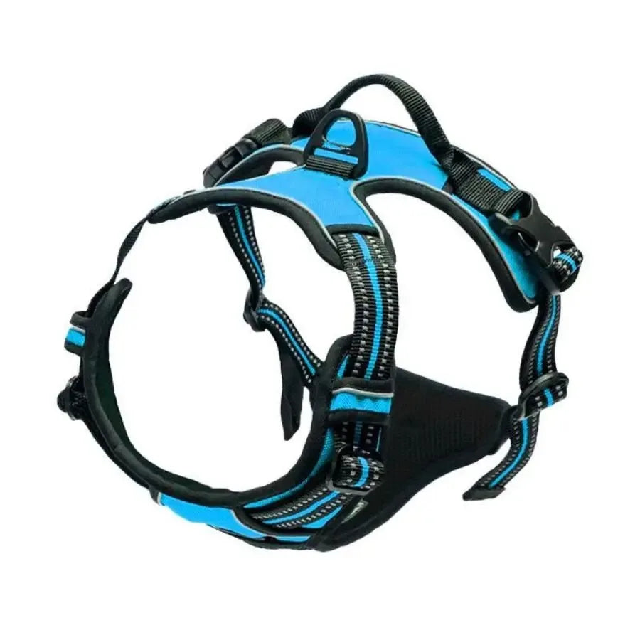 Dog Collars, Harnesses & Leash Set – Leather Puppy & Pet Accessories for Small and Medium Dogs