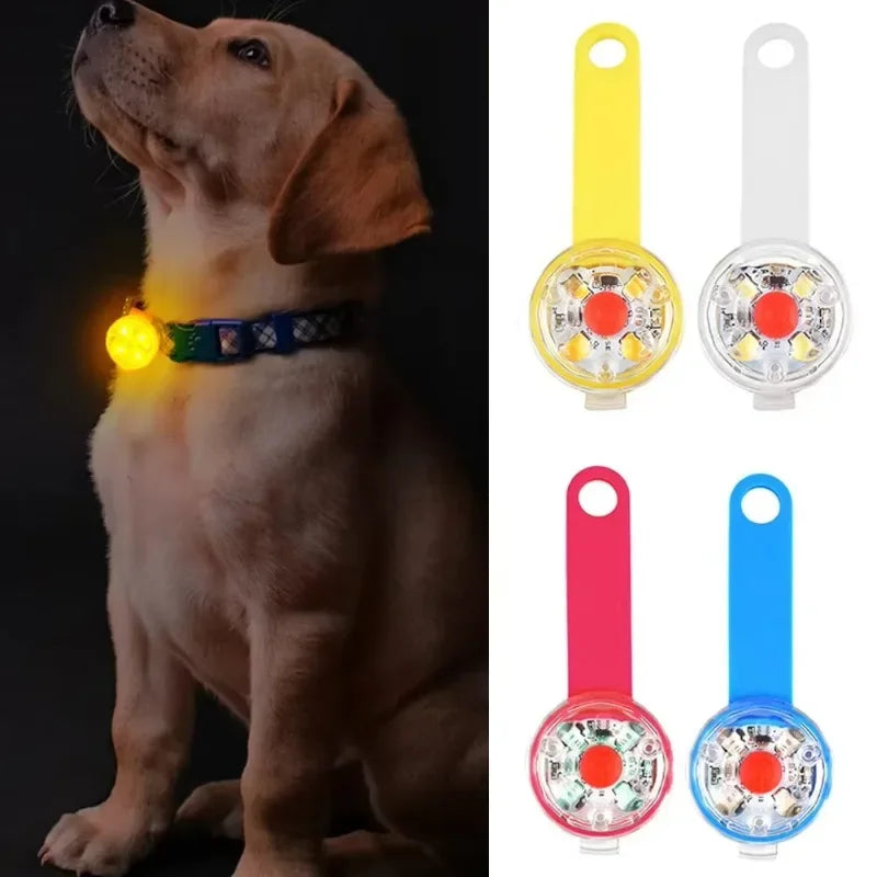 LED Safety Dog & Cat Collar – USB Rechargeable Weatherproof Glowing Light Collar