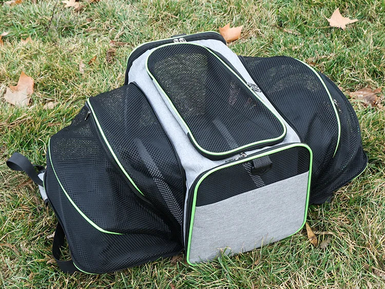 Foldable Expandable Pet Carrier Bag – Breathable Mesh Travel Bag for Cats & Small Dogs