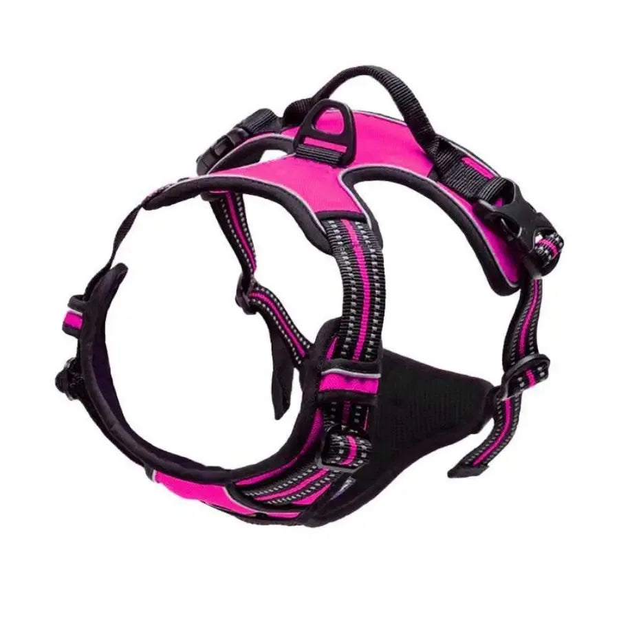 Dog Collars, Harnesses & Leash Set – Leather Puppy & Pet Accessories for Small and Medium Dogs