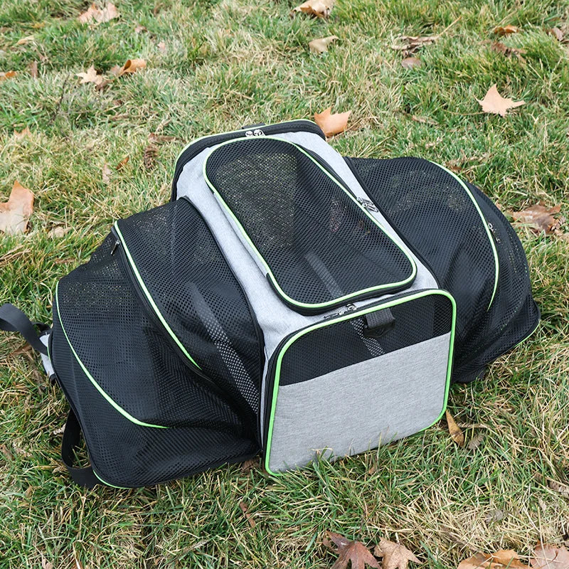 Foldable Expandable Pet Carrier Bag – Breathable Mesh Travel Bag for Cats & Small Dogs