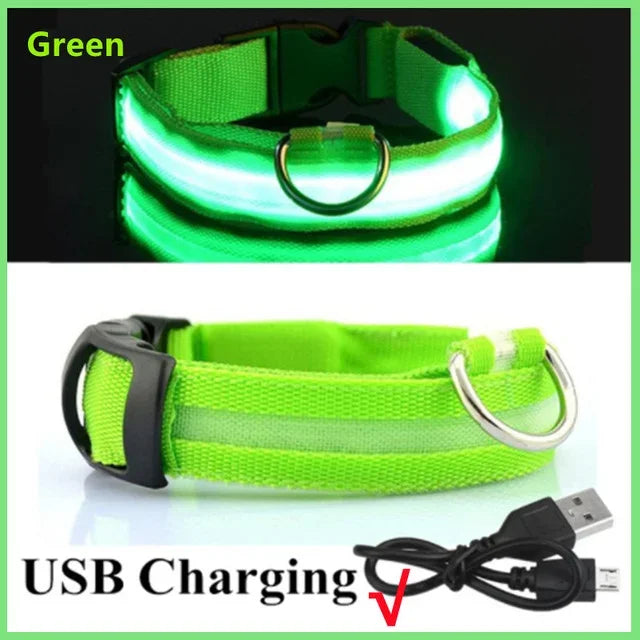 LED Glowing Dog Collar – Rechargeable Adjustable Luminous Night Safety Collar for Small Dogs