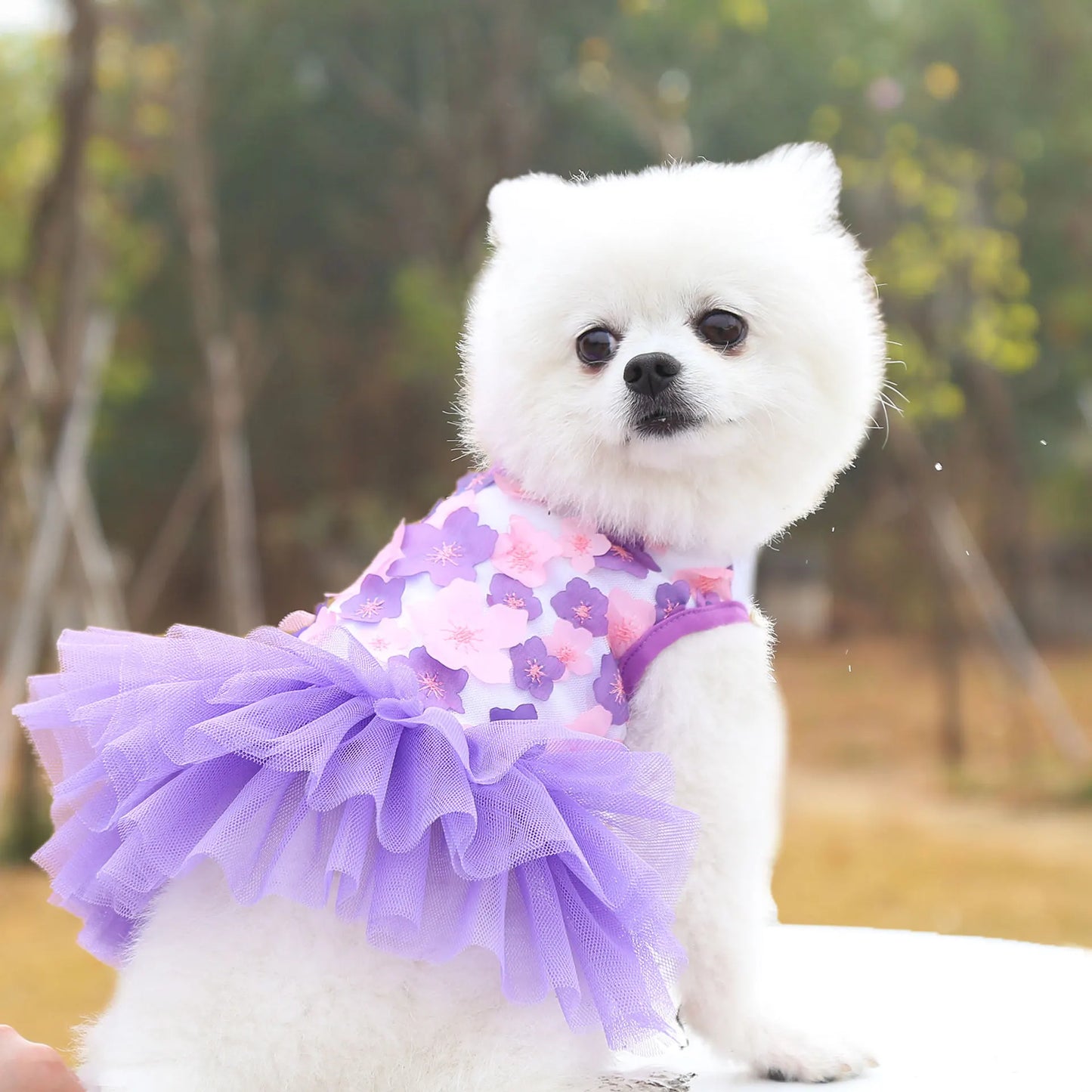 Floral Dog Dress – Soft Princess Outfit for Small & Medium Breeds