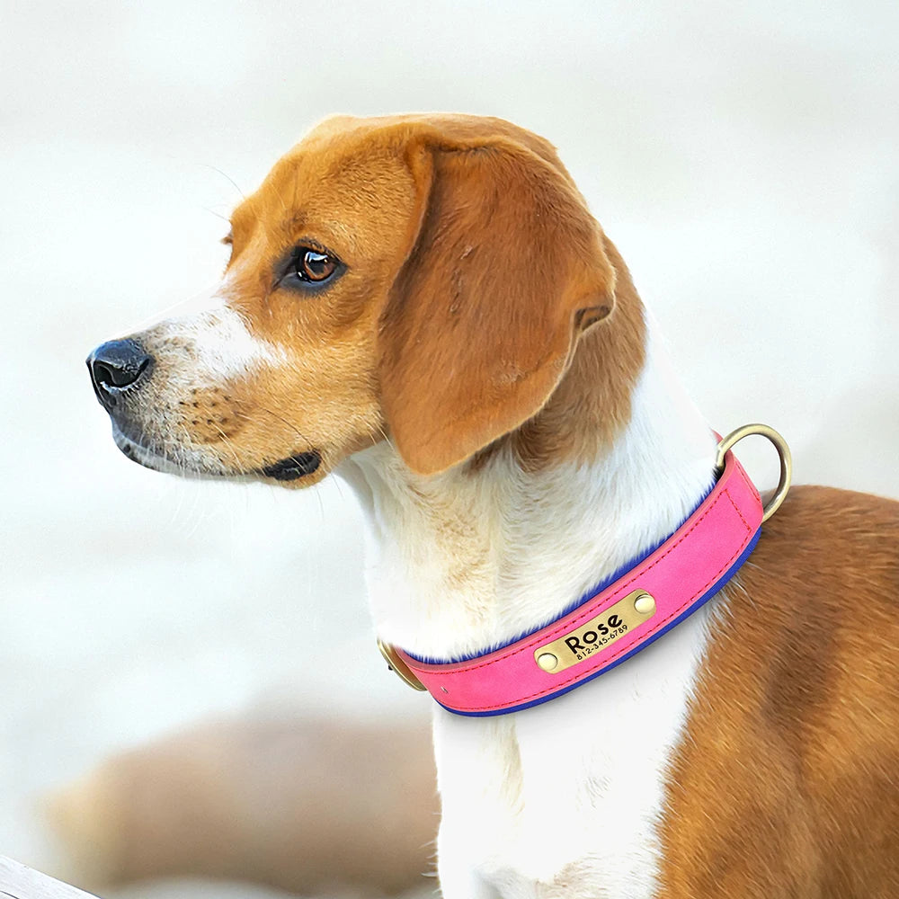 Customized PU Leather Dog Collar – Soft Padded Adjustable Collar with Free Nameplate Engraving for Small, Medium & Large Dogs