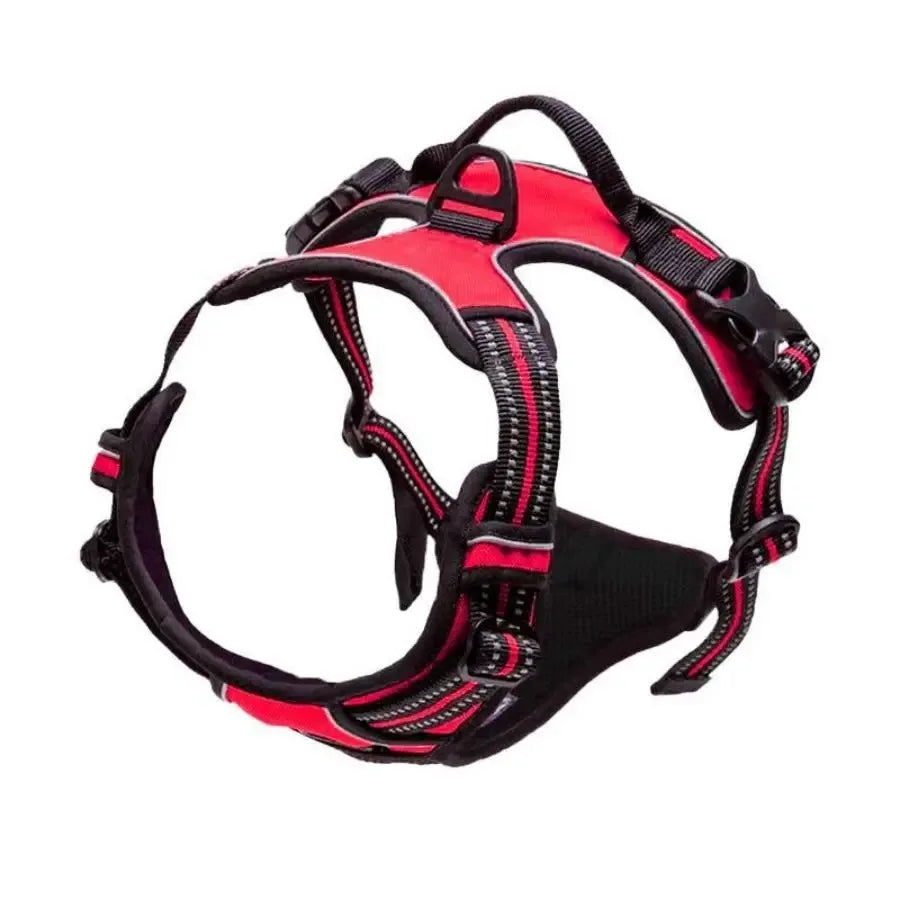 Dog Collars, Harnesses & Leash Set – Leather Puppy & Pet Accessories for Small and Medium Dogs