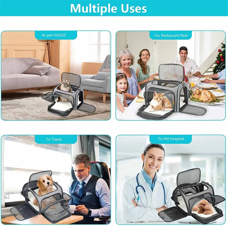 Foldable Expandable Pet Carrier Bag – Breathable Mesh Travel Bag for Cats & Small Dogs