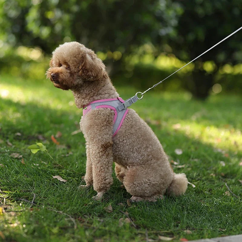 Adjustable Puppy & Cat Harness Set with Leash – Small Dog Vest for Chihuahua, French Bulldog, and Small Breeds