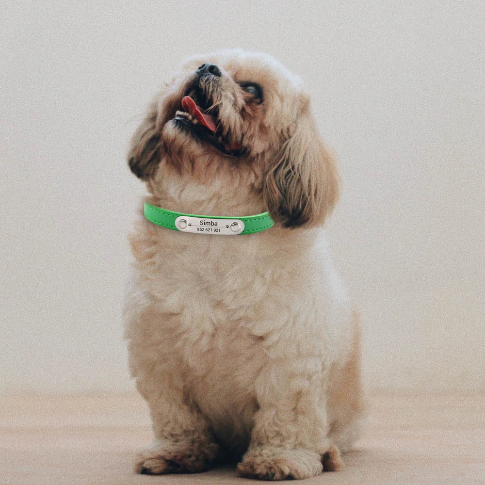 Personalized PU Leather Dog Collar – Custom Engraved ID Anti-Lost Collar for Small, Medium & Large Dogs and Cats (Pink)