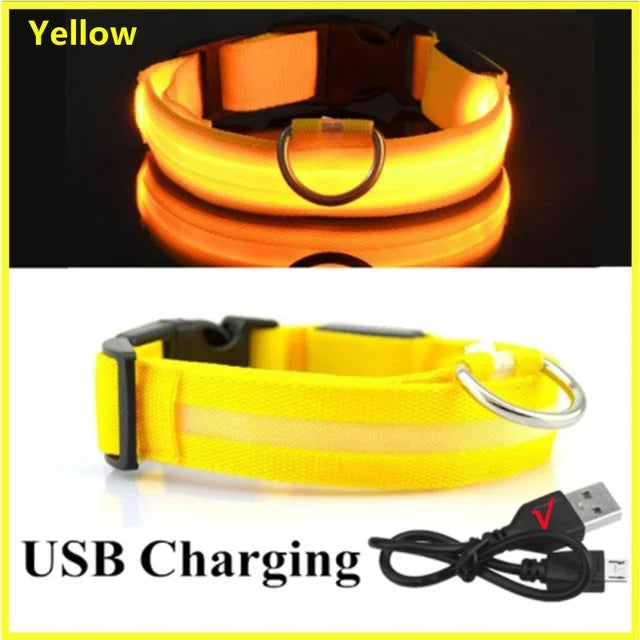 LED Glowing Dog Collar – Rechargeable Adjustable Luminous Night Safety Collar for Small Dogs