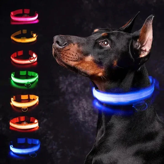 LED Glowing Dog Collar – Rechargeable Adjustable Luminous Night Safety Collar for Small Dogs