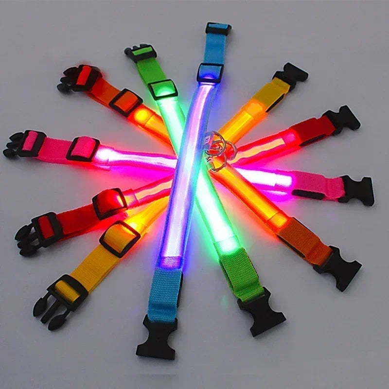 LED Glowing Dog Collar – Rechargeable Adjustable Luminous Night Safety Collar for Small Dogs