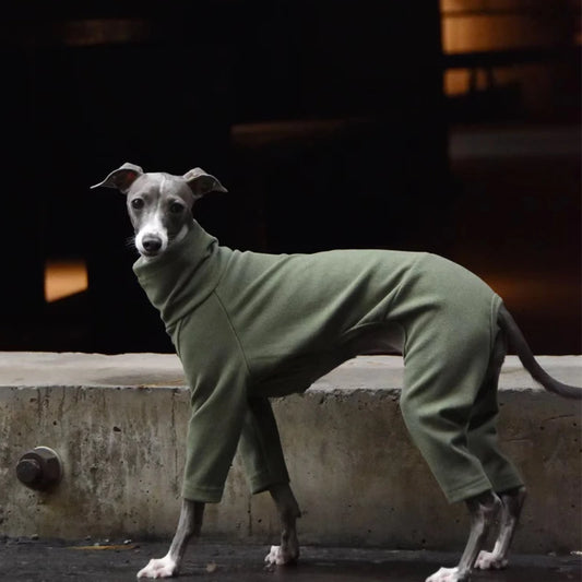 Warm Turtleneck 4-Legged Sweater for Whippet Italian Greyhound