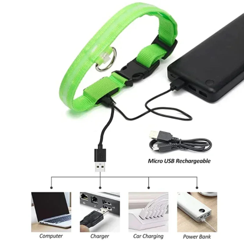 LED Glowing Dog Collar – Rechargeable Adjustable Luminous Night Safety Collar for Small Dogs