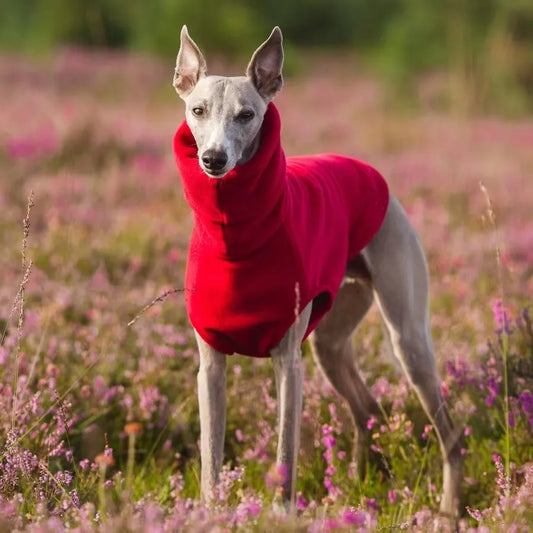Winter Fleece Whippet Vest Italian Greyhound Turtleneck