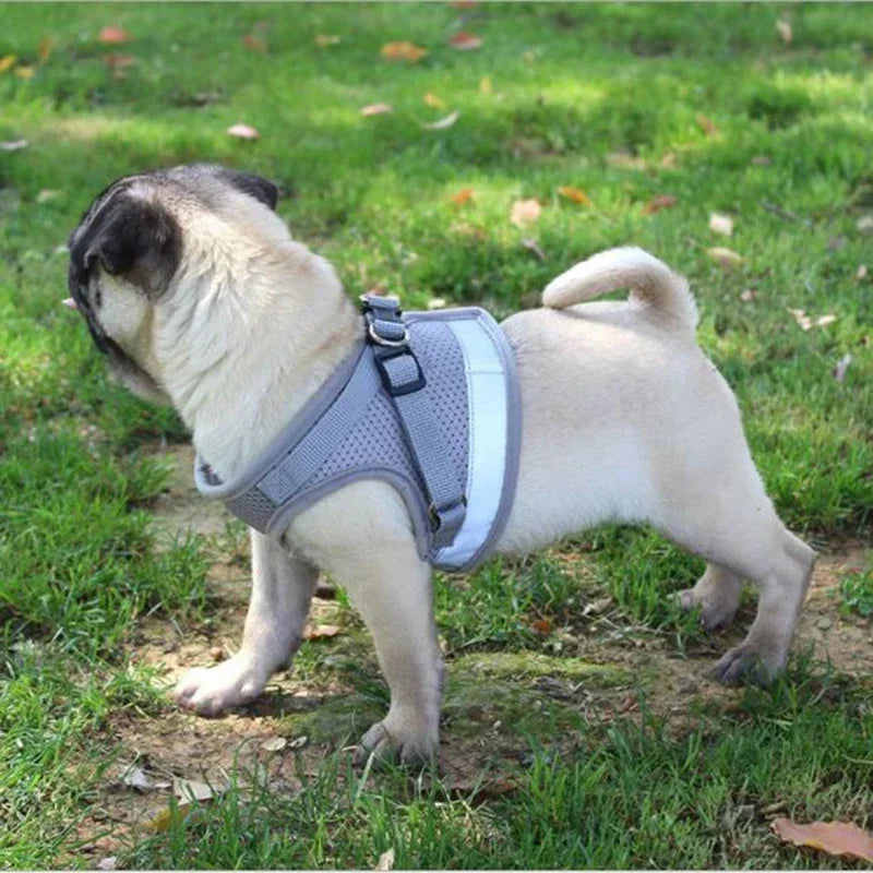 Adjustable Mesh Dog Vest Harness with Leash – Chest Strap Pet Harness XS/S/M/L/XL