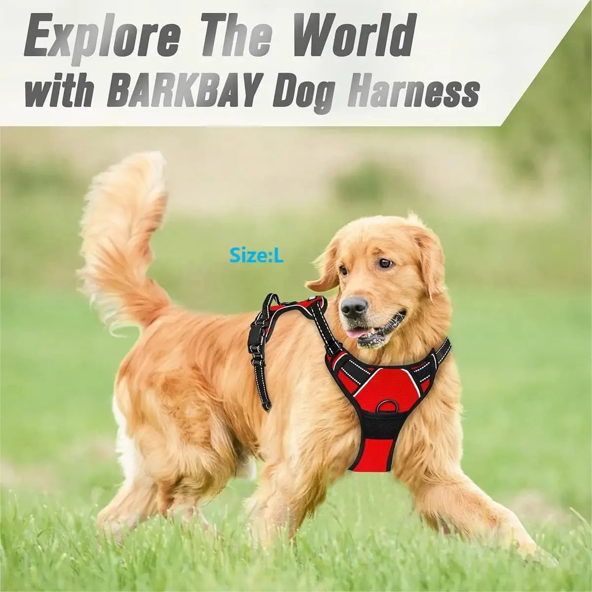 Dog Collars, Harnesses & Leash Set – Leather Puppy & Pet Accessories for Small and Medium Dogs